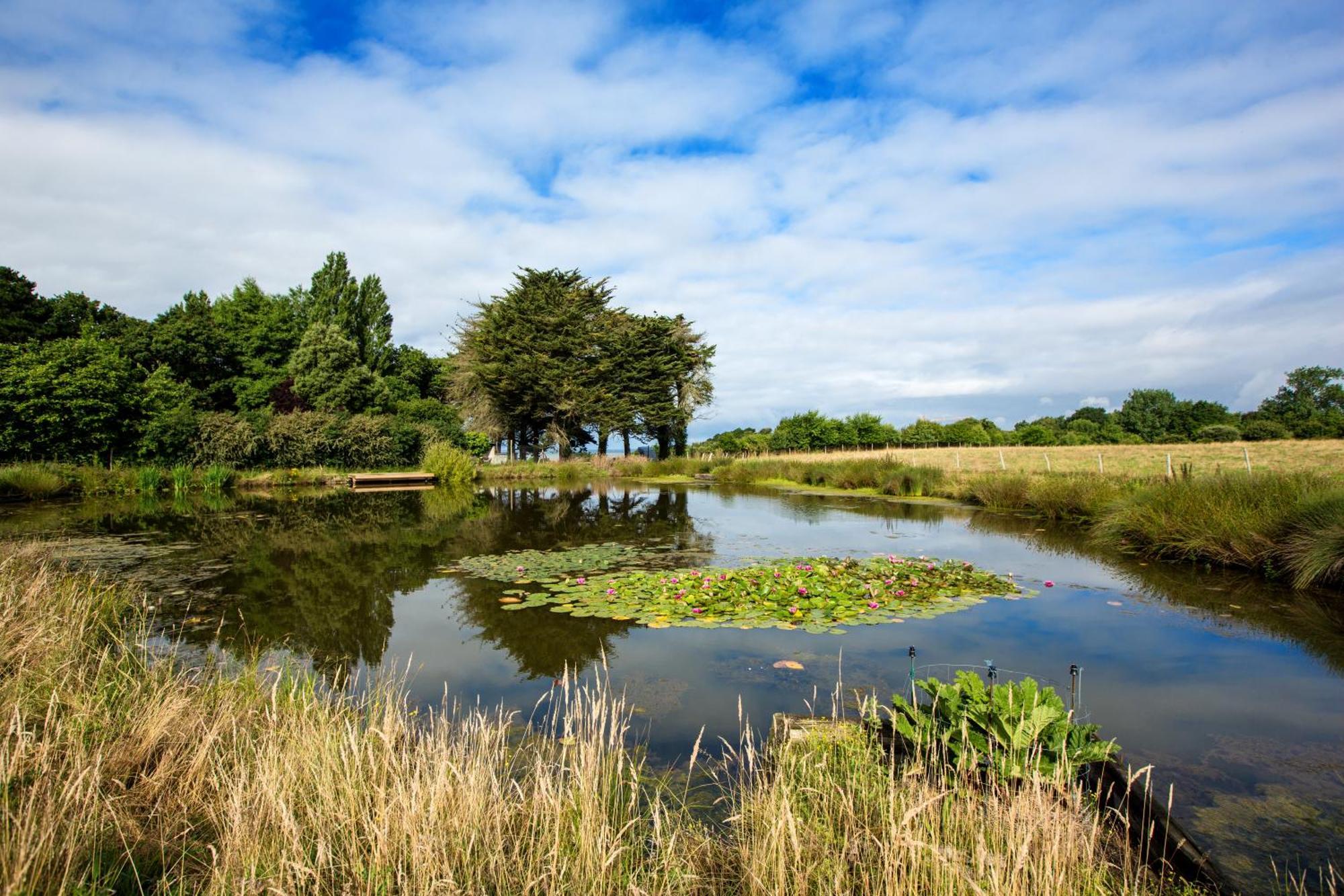 Eco-Domaine La Fontaine - Hotel-Spa Pornic Eksteriør bilde