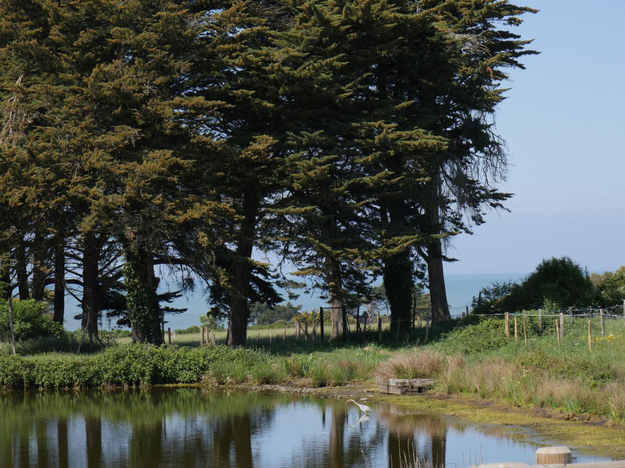 Eco-Domaine La Fontaine - Hotel-Spa Pornic Eksteriør bilde